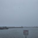 배곧한울공원 이미지