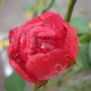 청명중학교 이미지