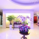 바이브레이션 노래연습장 이미지