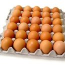 ▶ 계란에 대해 얼마나 알고 계시나요? 이미지