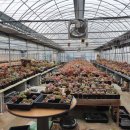 상춘꽃농원 이미지