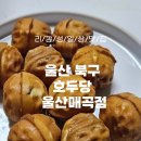 호두당울산 이미지