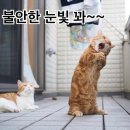 탑 코인 노래연습장 이미지