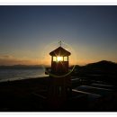 바다요정 이미지