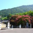 고려동유적지 이미지