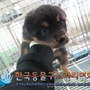 하성고등학교 이미지