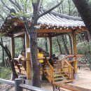 힐링칼국수 이미지