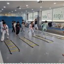 블랙 타이거 태권도장 이미지