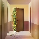 와이디엠 이미지