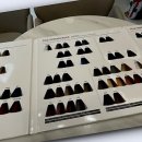 머리하기좋은날 이미지