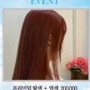 포이에마 이미지