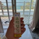 유자향기펜션 | 거제 유자향기펜션 럭셔리 301호 복층 후기 (오션뷰 제트스파 & 해돋이)