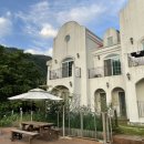 로로포레 이미지