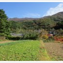 진틀주차장 이미지