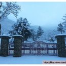 태화 목장 이미지