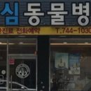 동심동물병원 이미지