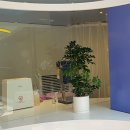 트리밍91 이미지