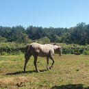 희망드림 행정사사무소 이미지