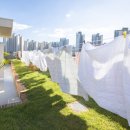 더클래식요양원 이미지