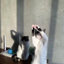 엑스멘노래광장 | It's so confusing sometime to be a girl