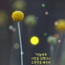 우분트
