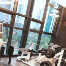 도미디 피트니스 | 30대 후반도 만족하는 동탄 헬스장, 도미디 피트니스 방문 후기!