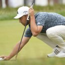 (주)메이저라인 이미지