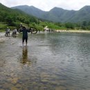 청량산 임도1 이미지