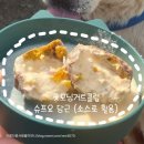 묘도수퍼(복지도우미) | 강아지요거트맛집, 굿모닝거트클럽 GMGC 12기 크루 2주차 활동기록
