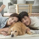 정직한동물의료센터 이미지