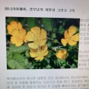 ‘주님의 거룩한 변모 축일’(8월 6일) 의미와 유래 주님 얼굴은 해처럼 빛나고… ‘하느님의 아들’ 선언하고 드러내 이미지