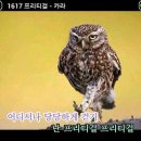 김씨생과방