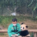 (주)판다미디어