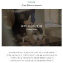 웰컴모터스 이미지