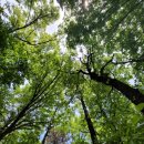 오봉산 맨발 등산로 이미지