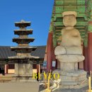 정림사지박물관 | 부여 가볼만한 곳 정림사지박물관 정림사지 5층석탑 석불좌상 여행 후기