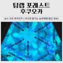 마린팩토리 | 팀랩 포레스트 후쿠오카｜아이와 즐기는 실내체험 후기(입장권 할인·주의사항)