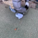 판교원로82번길 | [남서울cc파3연습장] 서울근교 남서울 제2연습장 파3