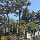 연곡천 | 강릉 주문진 근처 영진해변 오션뷰 카페 추천 언덕앤