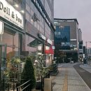 돌앤비
