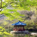 (주)백제허브 이미지