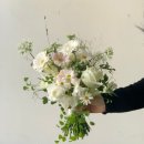스튜디오아눅