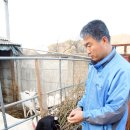 이성식목장 네이버블로그