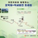 무등산 트레일(원효분소-꼬막재-신선대-북산-화순군 이서면 송계마을)/2025.9.20.토 이미지
