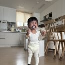 스테이 편차 | 둘째 돌잔치 후기) 신라스테이 동탄/ 로이스타일 스냅/ 안나앤파티 돌상~ 만족만족, 대만족 !