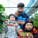 지운농장 이미지