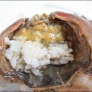 거제도식당 이미지