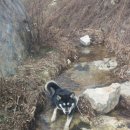 은별농장 이미지