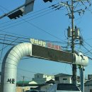 신포길 | 명지회센터 을숙도횟집 회포장 후기 / 명절에도 여는 엄마 단골집 (우리도 단골됨)