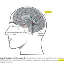 참정신건강의학과의원 이미지